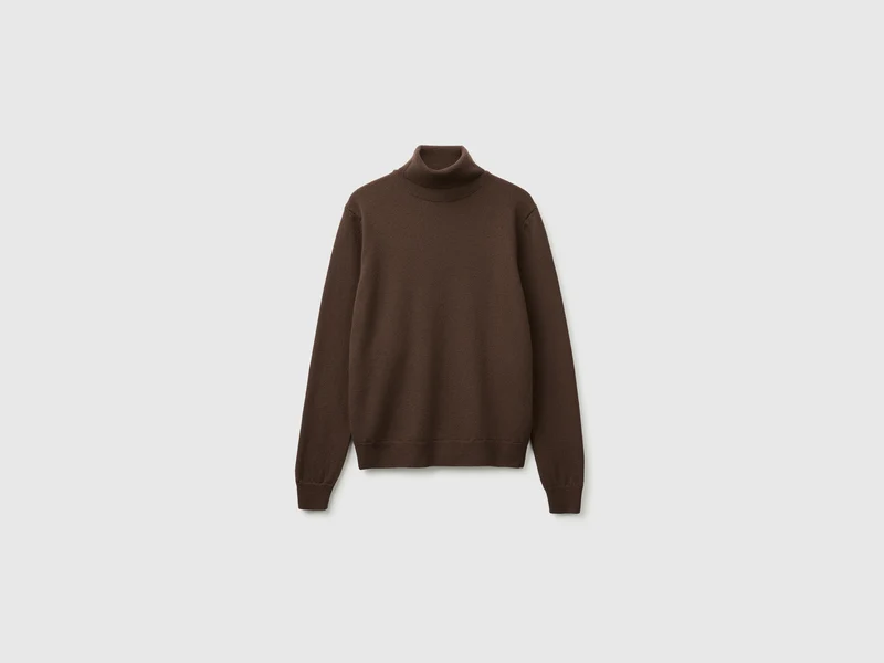 Rollkragenpullover aus 100 % Merinowolle