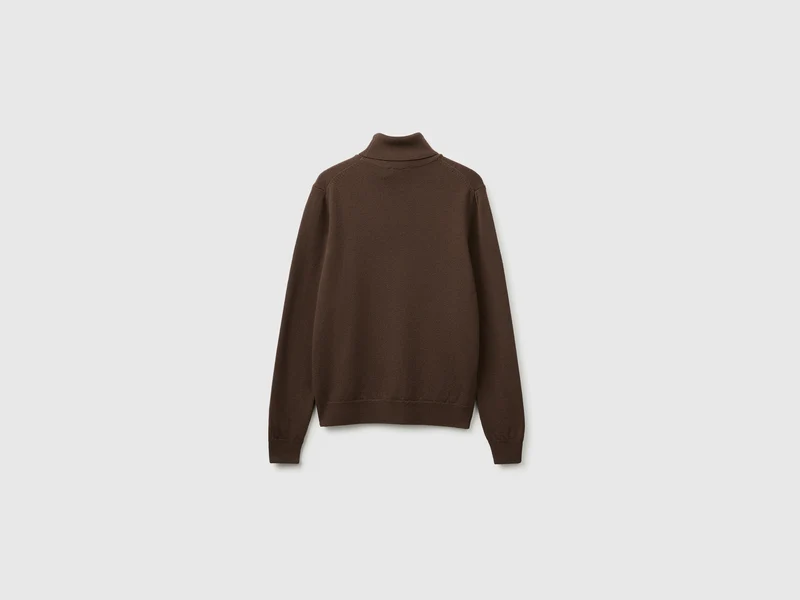 Rollkragenpullover aus 100 % Merinowolle