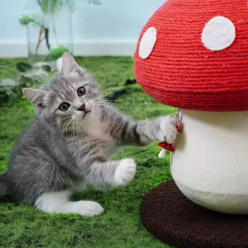 Mushroom-Shaped Cat Scratcher - Handmade Pet Furniture for Playful Cats