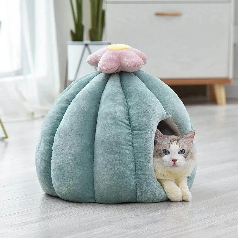 Cactus Cat Bed - Cozy Pet Bed for Cats
