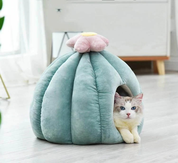 Cactus Cat Bed - Cozy Pet Bed for Cats
