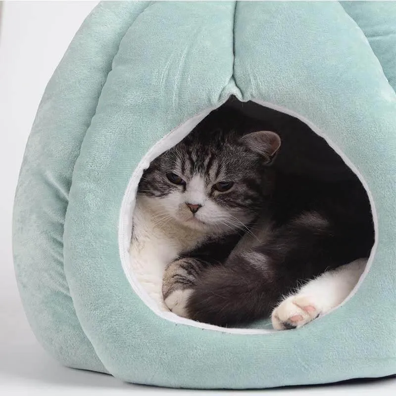 Cactus Cat Bed - Cozy Pet Bed for Cats