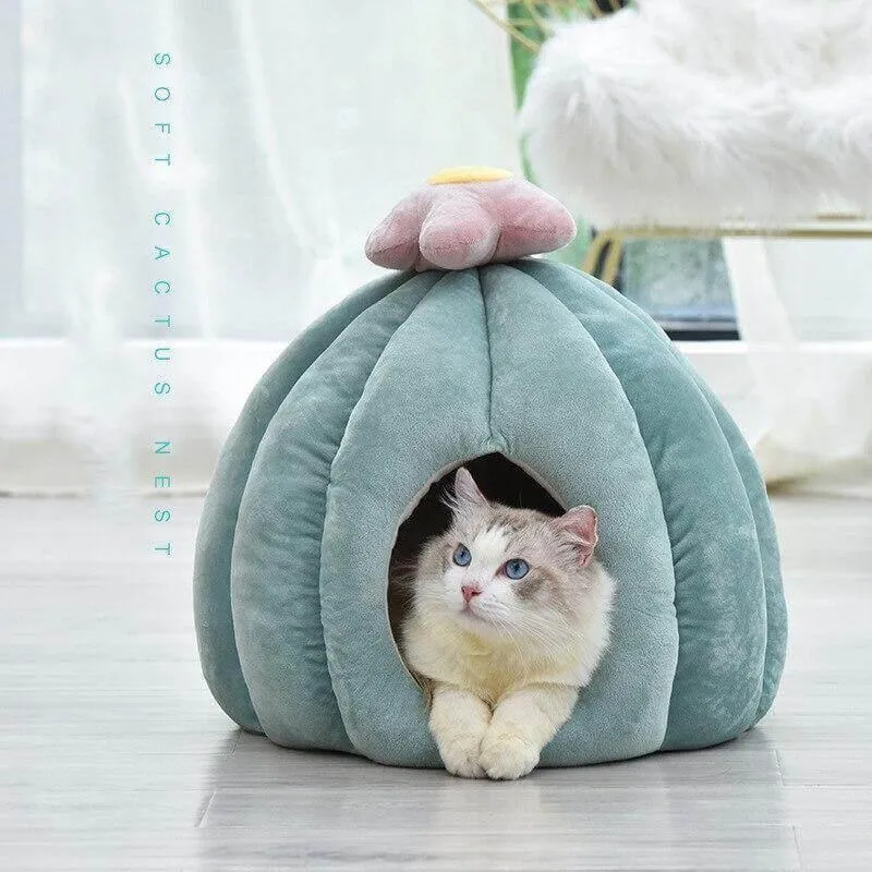 Cactus Cat Bed - Cozy Pet Bed for Cats
