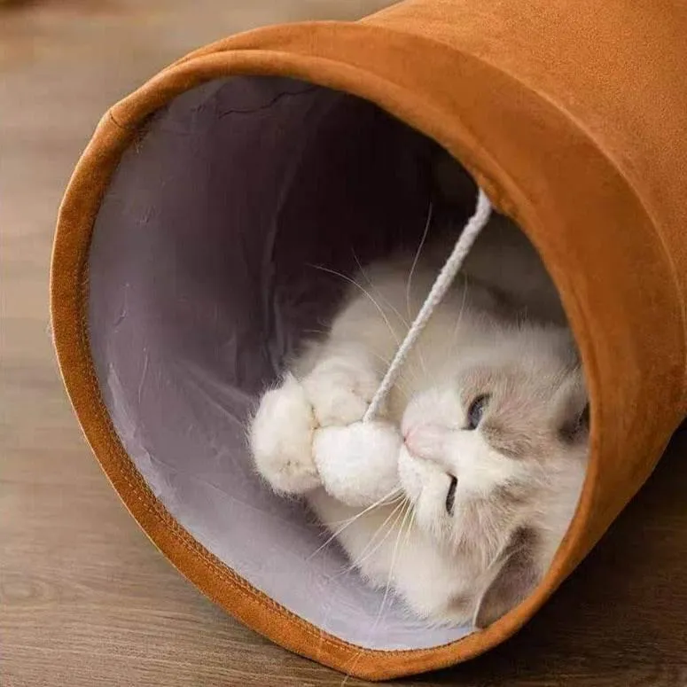 Cat Tunnel Toy - Collapsible Interactive Play for Kittens