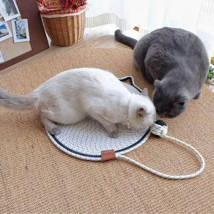 Cozy Cat Mat - Plush and Comfortable Bed for Your Feline Friend