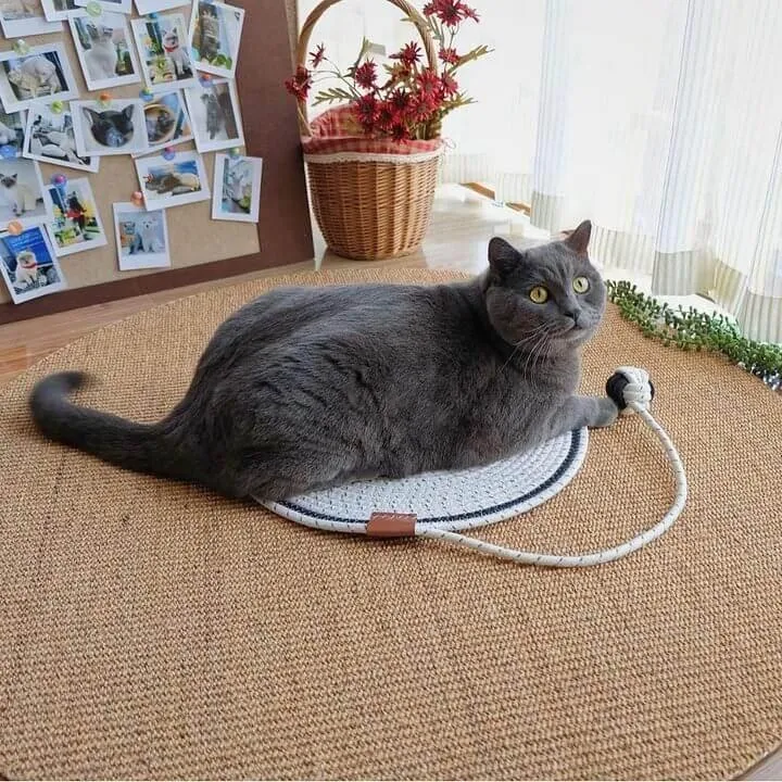 Cozy Cat Mat - Plush and Comfortable Bed for Your Feline Friend