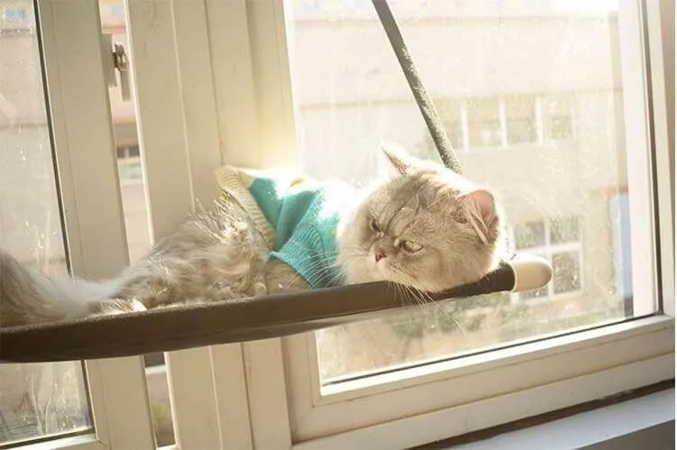 Cat Hammock - Comfortable Hanging Pet Bed