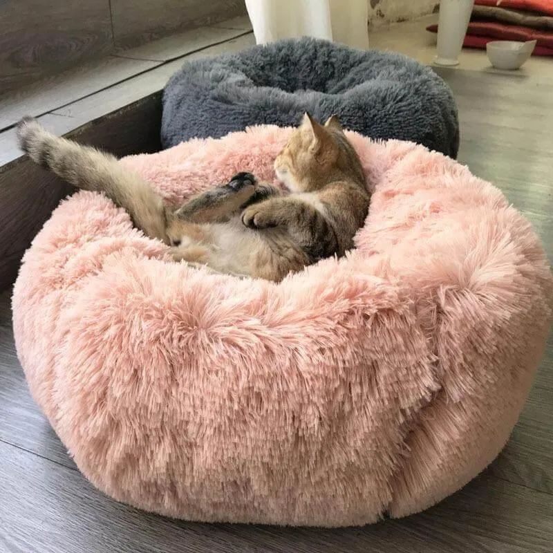 Pet Lounge Bean Bag Bed - Soft Comfortable Pet Furniture