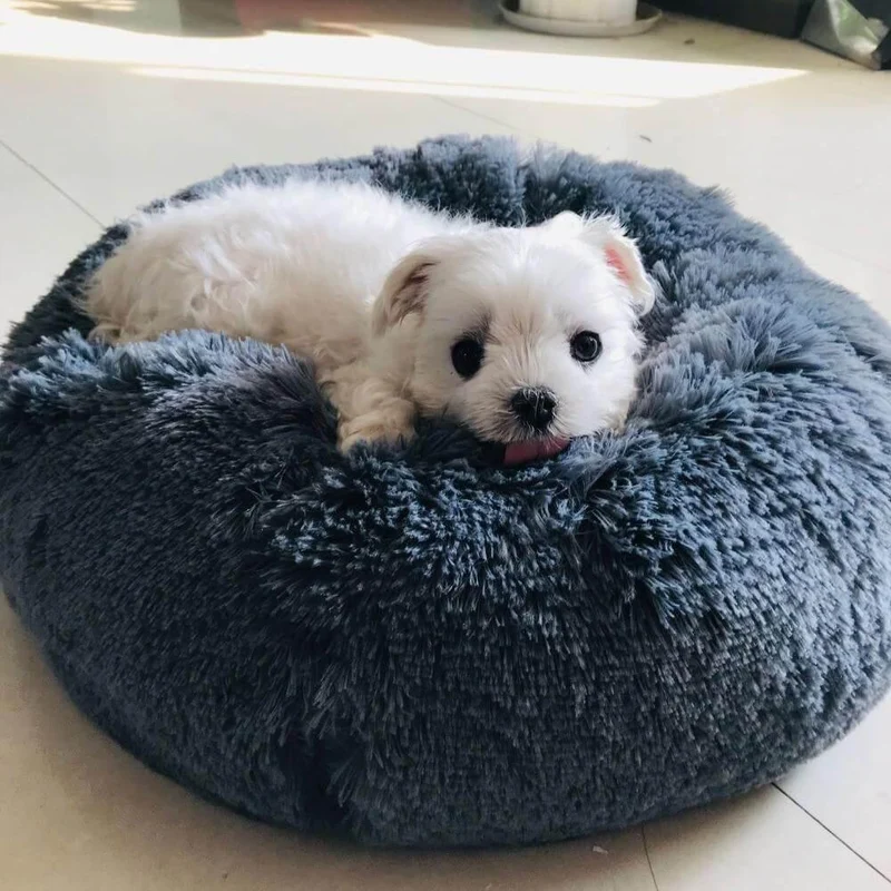 Pet Lounge Bean Bag Bed - Soft Comfortable Pet Furniture