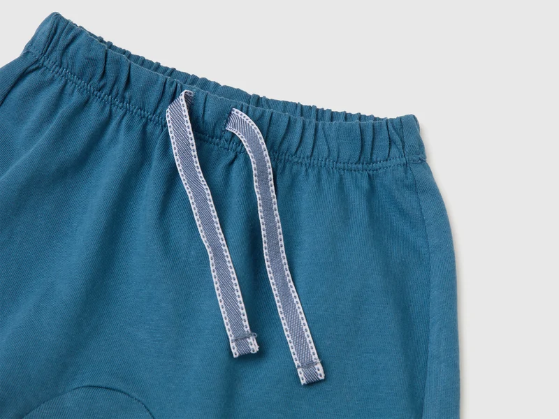 Shorts mit Tierstickerei