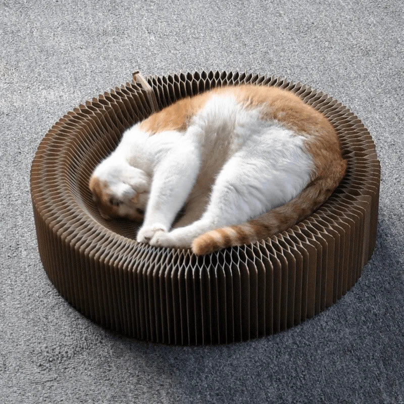 Accordion Cat Scratcher Bed - Playful Furniture for Cats