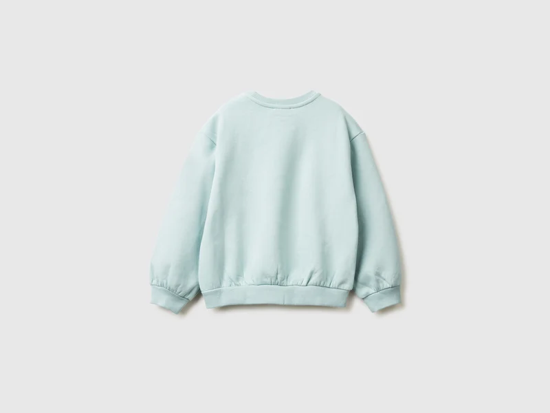 Sweatshirt mit Animal-Stickerei