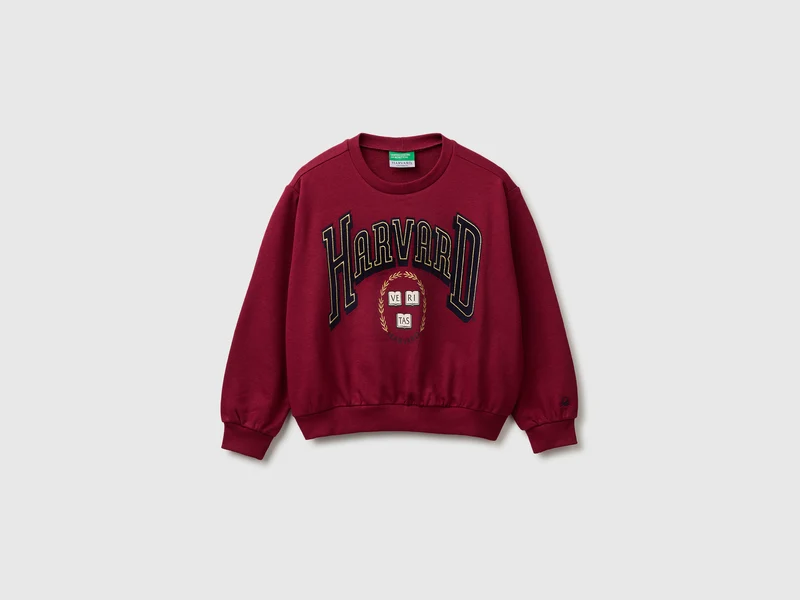 Sweatshirt ©Harvard University