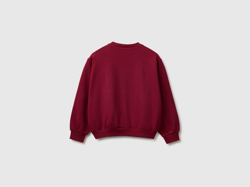 Sweatshirt ©Harvard University
