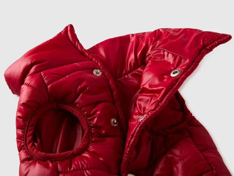 Erdbeerrote Daunenjacke für Hunde